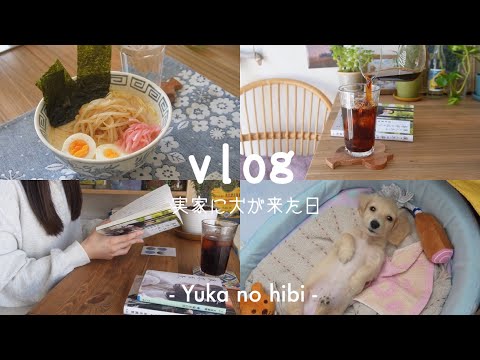 [vlog#57] 6:30起きで芸人さんのエッセイに浸る社会人の休日 / 帰省した / 犬が来た / 🏡