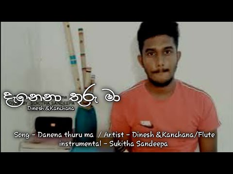 Danena Thuru ma (දැනෙනා තරු මා)/Flute cover #SUKITHA SANDEEPA