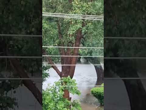 Natural view of park during rain| لاہور میں شدید بارش کے بعد کیا صورتحال ہے ؟ | ‎پارک یا تالاب