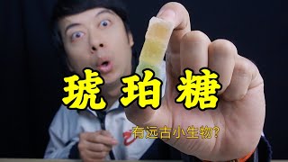 网红零食琥珀糖，到底是什么味道，里面有远古生物吗？