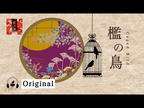 【Beautiful Soft Japanese Style Music】Caged Bird - Kitkit Lu｜檻の鳥  (Original Asian Song)