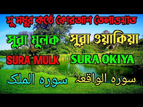 SURA MULK | SURA OKIYA | QURAN TILAWAT |سورہ الملک | سورہ الواقعہ | রাতে ঘুমানোর আগে শুনুন |