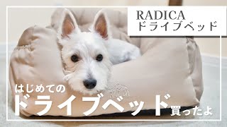 【ドライブベッド】RADICAのベッド。防水🙆‍♂️ふかふか🙆‍♀️ずれない🙆‍♂️┃ウェスティ┃マルプー