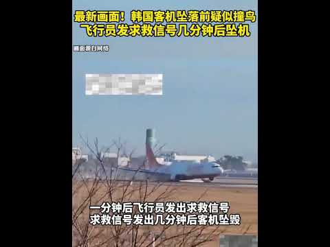 韩国客机坠落前疑似撞鸟 飞行员发求救信号几分钟后坠机（记者：陆睿、冯亚松；视频：周啸天）