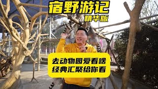 这份动物园的豪华攻略情笑纳～#春节出游指南 #新春吃喝玩乐节