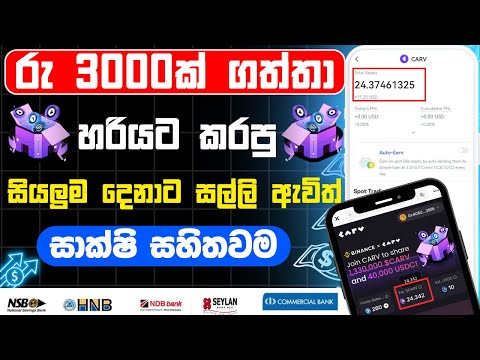 carv aidrop sinhala | Carv Airdrop Binance Web3 | carv airdrop withdraw