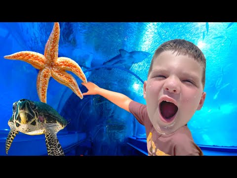 Caleb Goes to the AQUARIUM and LEARNS aBOUT SEA TURTLES and Other Sea Creatures for KIDS!