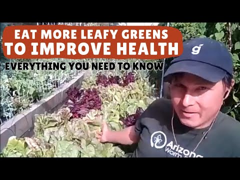 How to Eat More Leafy Greens for Better Health: What You Need to Know