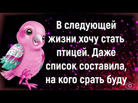 Позитивчик для Настроения! Супер Зажигательная и Весёлая Музыкальная Открытка! Улыбнись!