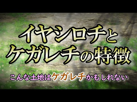 【イヤシロチ】ケガレチの道路にはこんな現象が起きる｜イヤシロチに住む人は元気で運もいい【ケガレチ】