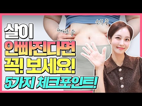 [다이어트 성공 필수시청] 아무리해도 살이 안빠지는 이유❗ 이것만 바꿔보세요❗