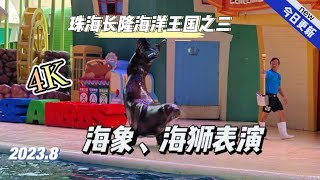 4K珠海长隆海洋王国之三（海象、海狮表演）