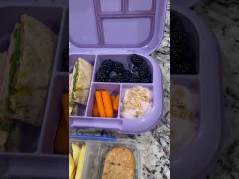 Bento Lunchbox #bentobox #bento #lunchbox #lunchboxideas