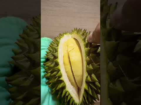 Eat durian at chanthaburi #shorts #subscribe #share #viral #thailand #khunman