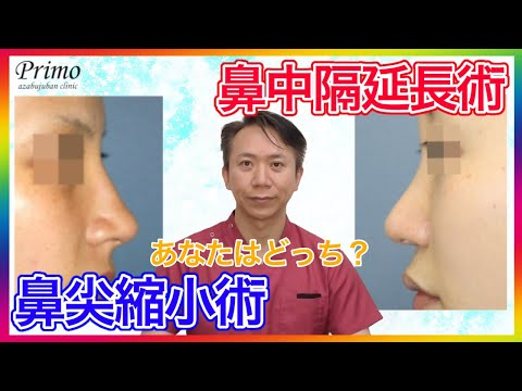 鼻尖縮小3D法?鼻中隔延長術？あなたが向いているのはどっち？★☆鼻整形・美容整形☆★