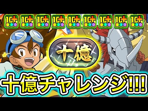 【最強】『八神太一＆ウォーグレイモン』使えばランク経験値14.4億！？ 『十億チャレンジ』に初見で挑戦したらやばすぎた！！！！ 【パズドラ デジモン コラボ 八神太一＆アグモン】