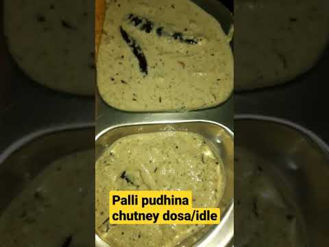 Hotel style palli pudhina chutney for idli/dosa/puri#palli pudhina chutney #shorts#idli/dosa chutney