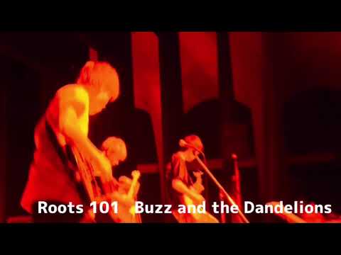 「Roots 101」   Buzz and the Dandelions