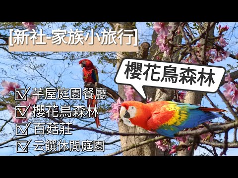 貪吃是一種癮-來新社小旅行（賞櫻） 芊屋庭園餐廳/櫻花鳥森林/百菇莊/云饌休閒庭園 其實是吃飽飽行程