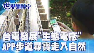 台電發展"生態電廠" APP步道尋寶走入自然 世界翻轉中 20240922