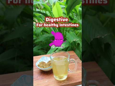 EP-82 of Vedic Recipes (छोटी हरड़/Hairitaki benefits for healthy intestines/Gut cleansing digestive