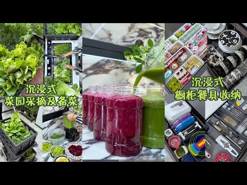 [生活日常VLOG&ASMR]  🧡🧡#96 跟着宝妈学习生活 - 沉浸式菜园采摘及备菜 + 沉浸式橱柜餐具收纳 + 厨房改造之岛台水槽下方收纳｜Douyin