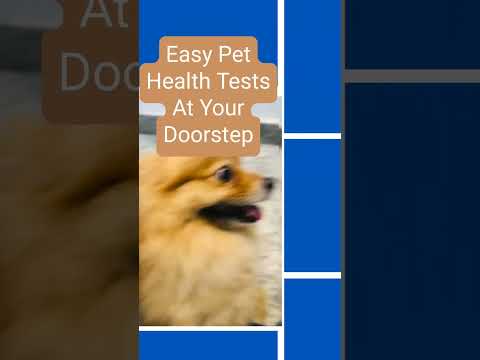 Easy Pet Health Tests at Your Doorstep