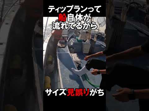 三浦から東京湾へティップランエギング！#3