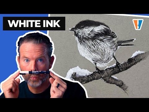 Drawing with White and Black Ink - Snow Bird