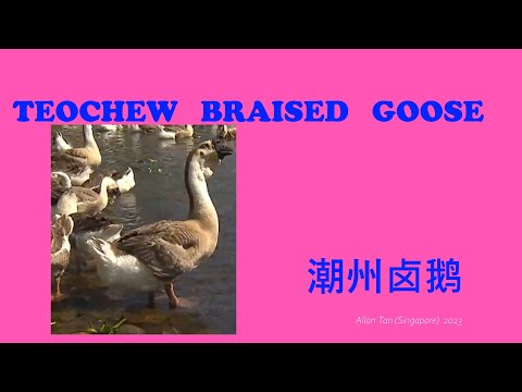 Teochew Braised Goose (潮州卤鹅)แต้จิ๋ว