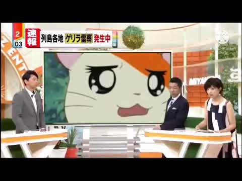 被害者ヅラのハム太郎を叩く宮根