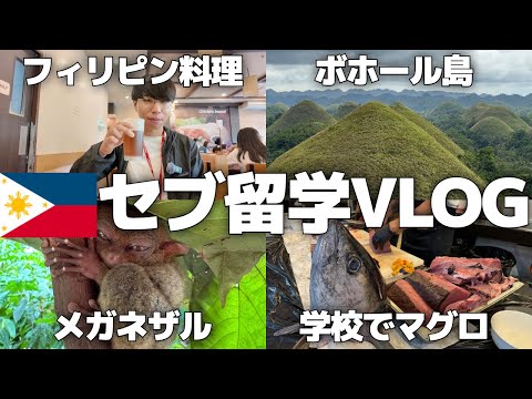 30代独身男のセブ島留学2週目/QQ English/週末旅/ボホール島【Vol.174】