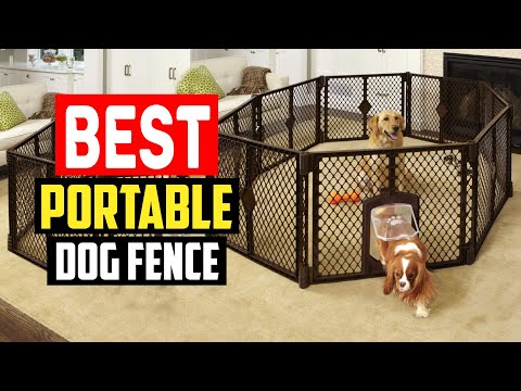 ✅Top 5 Best Portable Dog Fence for RV in 2023