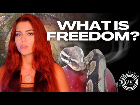 The Illusion of Freedom | Save Your Soul by Freeing Yourself from Distractions