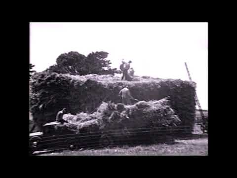 Geelong, Corio Bay, hay stack building &  farming in Ceres in the 1930s