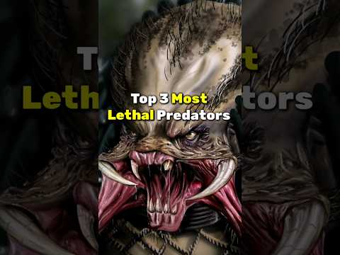 Top 3 Most Lethal Predators...