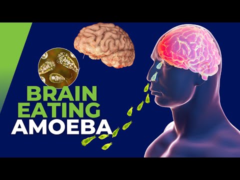 Brain-eating amoeba - Naegleria Fowleri - Symptoms, Prevention and Treatment