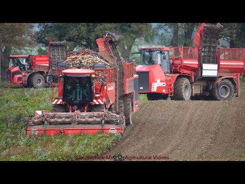 100% Holmer / Rübenernte - Harvesting Beets