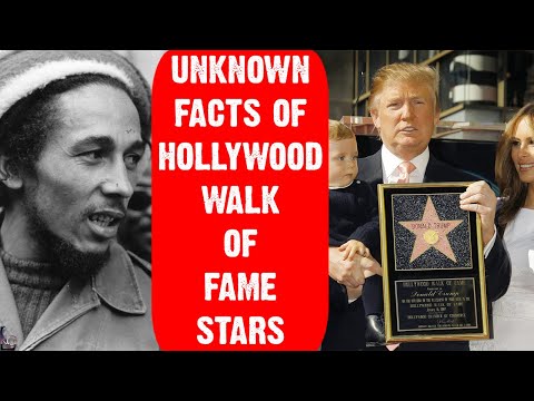 Hollywood Walk of Fame | Hollywood Celebrity Stars | Walk of Fame Star Unveiling | Bright Lab |