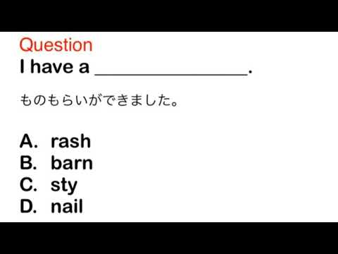 2382. 接客、おもてなし、ビジネス、日常英語、和訳、日本語、文法問題、TOEIC Part 5