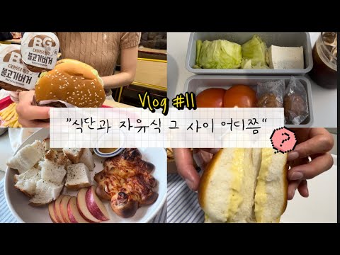 Vlog #11 | 유지어터 식단만들기,자유식,불고기버거,새우깡,꼬북칩,피자,양배추계란찜,편의점도시락