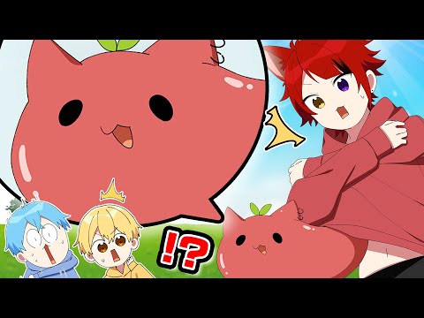 【アニメ】莉犬くんがペットを隠して飼っていた結果WWWW【すとぷり6兄弟】