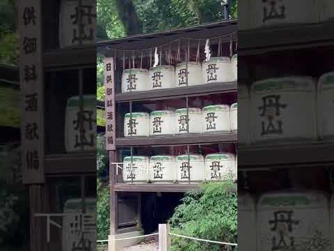 下鴨神社へ行きました 京都 kyoto