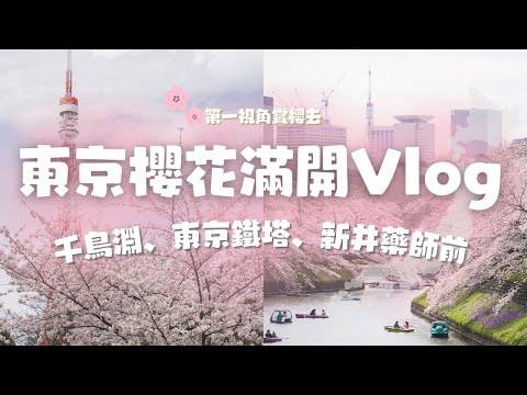 Tokyo Cherry Blossoms 🌸Tokyo's popular cherry blossom spots! Tokyo Tower|4K|Travel Vlog