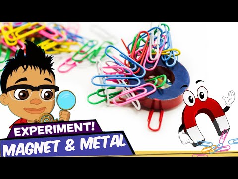 Amazing Experiment For Kids With A Magnet And Paper Clips | DIY Videos | Education Videos