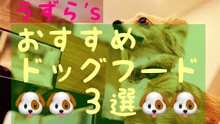 【小型犬におススメ！ドッグフード3選🐶】