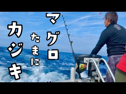 マグロとカジキの釣り方