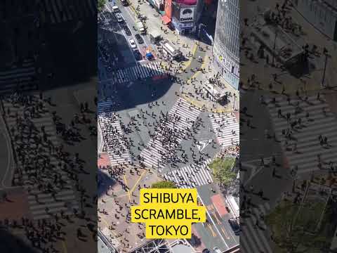 Legendary Shibuya Scramble! #Tokyo #Shibuya