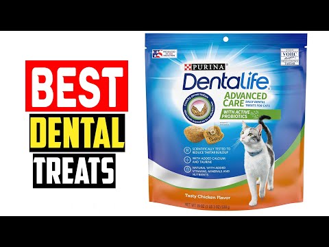 ✅Top 5  Best Dental Treats for Cats in 2024