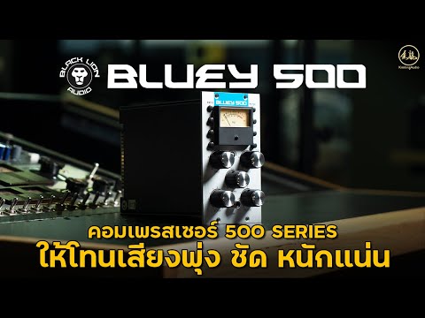 Black Lion Audio | Bluey 500 คอมเพรสเซอร์ 500 Series ให้โทนเสียง พุ่ง ชัด หนักแน่น